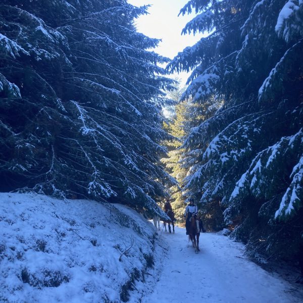 Blog Balade du dimanche