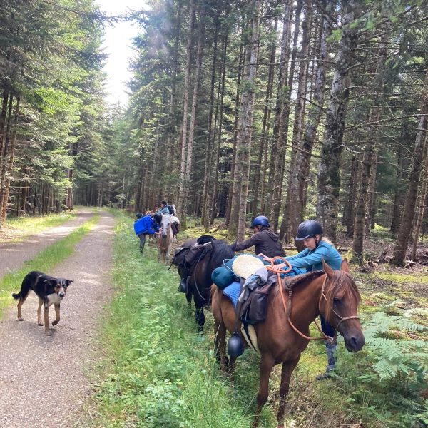 LCC-rando-autonomie-18